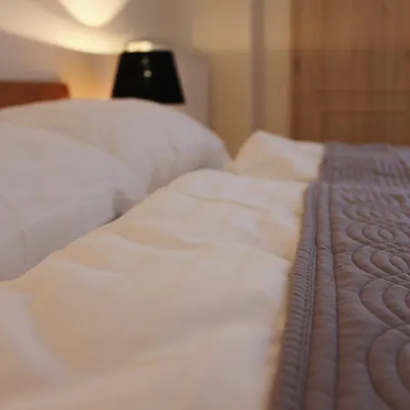 Cafe Havlicek Pensjonat 4*