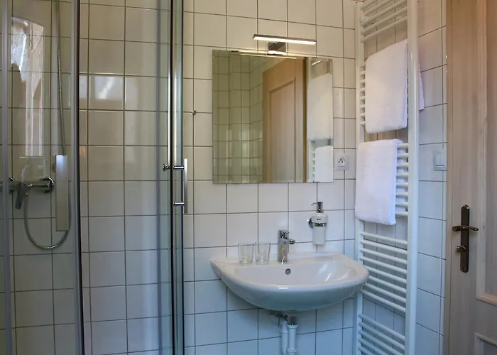 Cafe Havlicek Guest house 4*